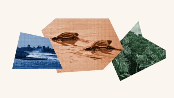 Environmental Justice