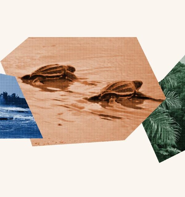 Environmental Justice