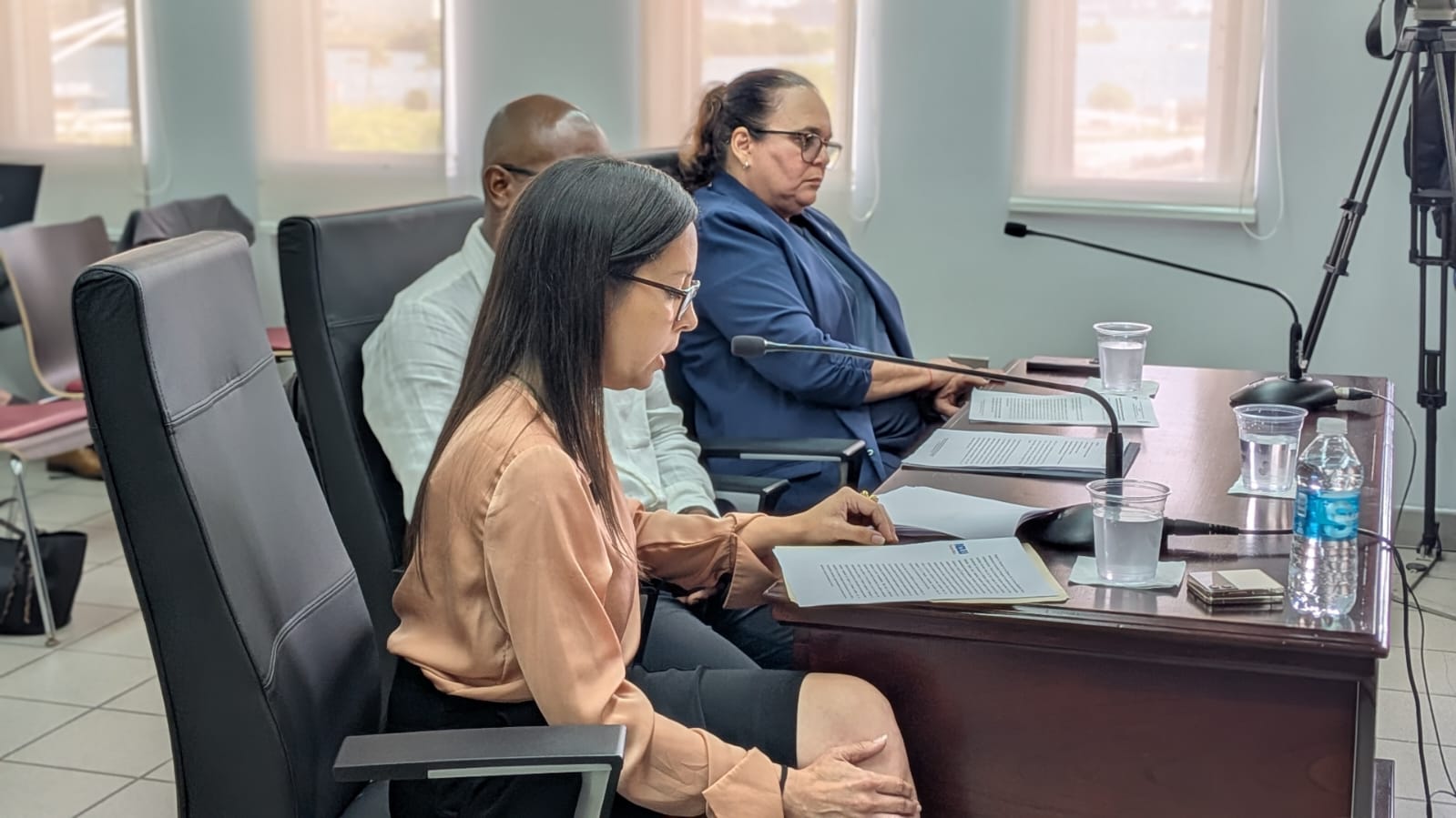 Licenciada Lolimar Escudero Rodríguez, abogada de Política Pública de la ACLU de PR.