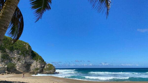 Paya El Guajataca en Quebradillas.