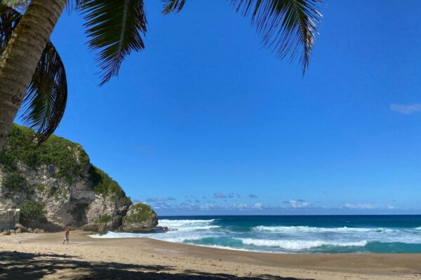 Paya El Guajataca en Quebradillas.