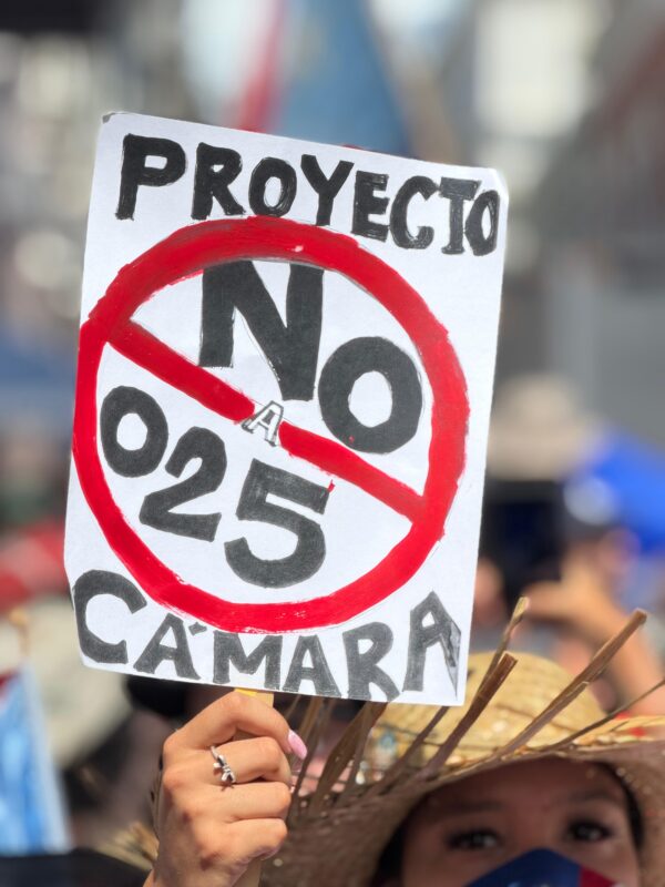 Persona con pancarta que lee "No al Proyecto de la Cámara 25", durante una manifestación en Puerto Rico.