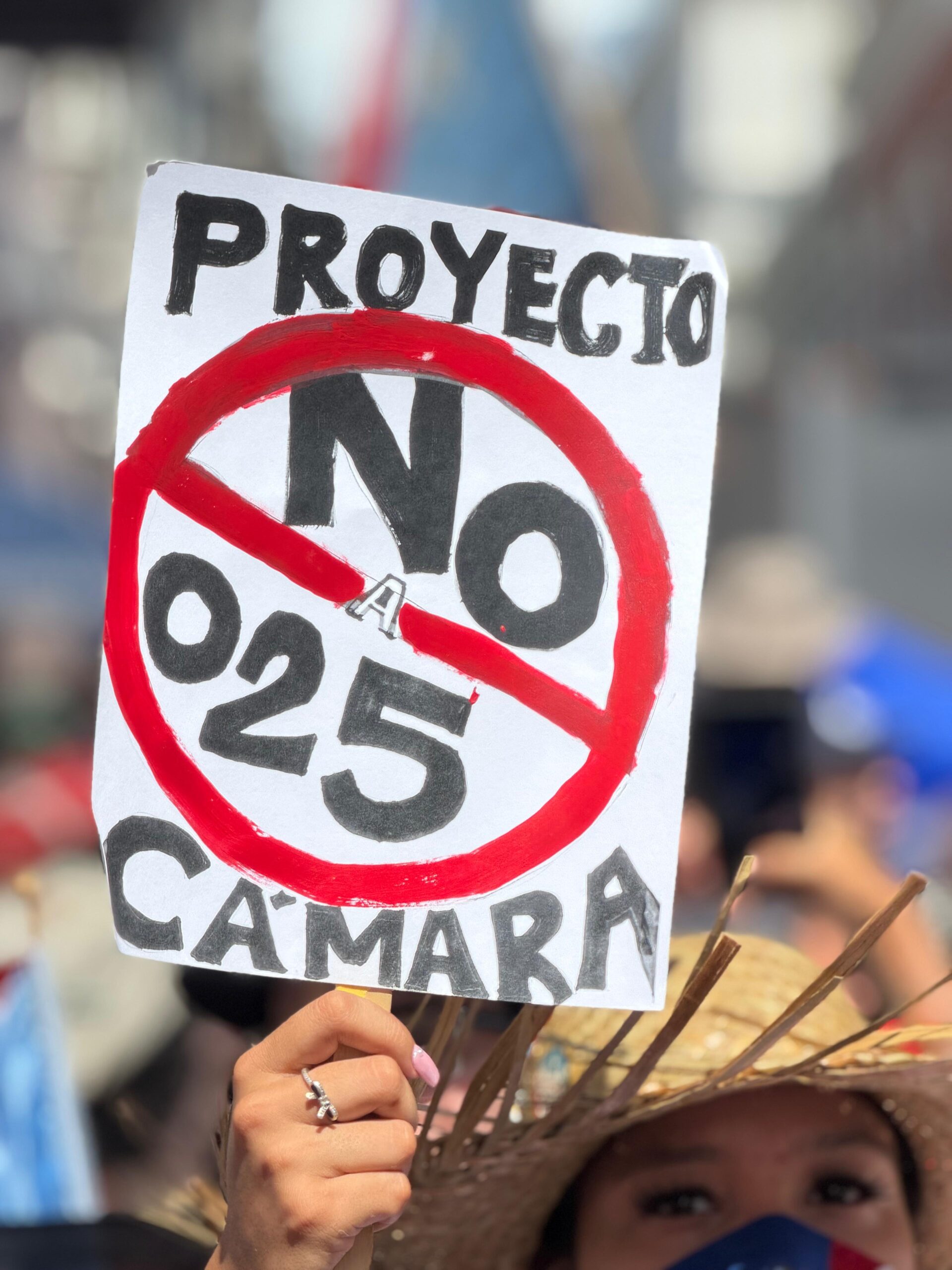Persona con pancarta que lee "No al Proyecto de la Cámara 25", durante una manifestación en Puerto Rico.